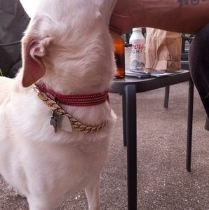 Meet your Posher, Mirsad